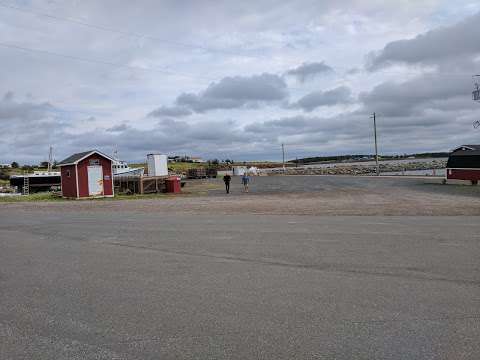 Harbour Authority Of Cape John