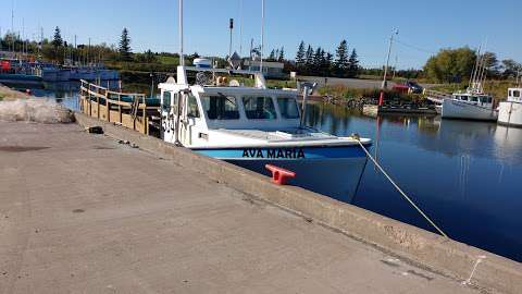 Harbour Authority Of Toney River